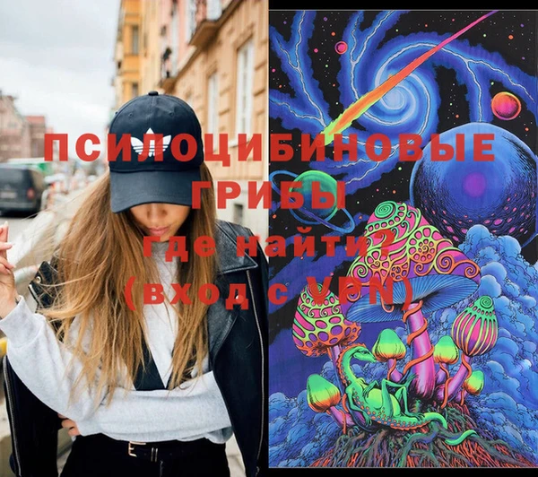 PSILOCYBIN Бронницы