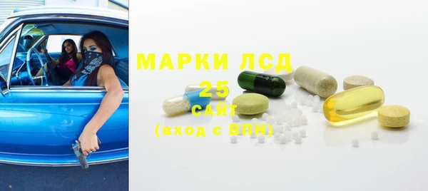 PSILOCYBIN Бронницы