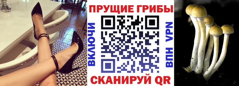 Галлюциногенные грибы ЛСД  как найти закладки  Вельск 
